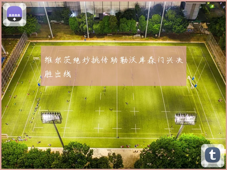 维尔茨绝妙挑传助勒沃库森门兴决胜出线