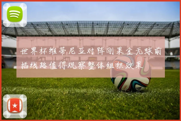 世界杯维蒂尼亚对阵刚果金无球前插线路值得观察整体组织效果