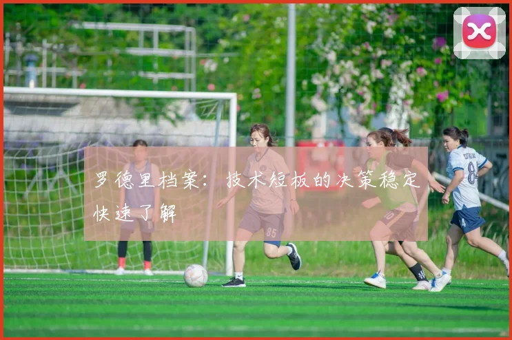 罗德里档案：技术短板的决策稳定快速了解