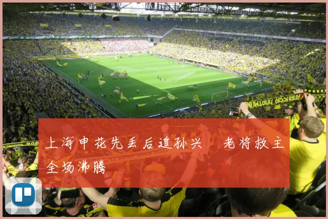 上海申花先丢后追孙兴慜老将救主全场沸腾