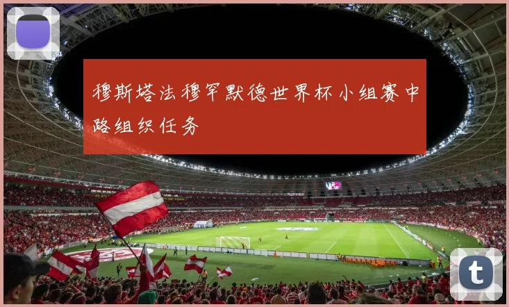 穆斯塔法穆罕默德世界杯小组赛中路组织任务