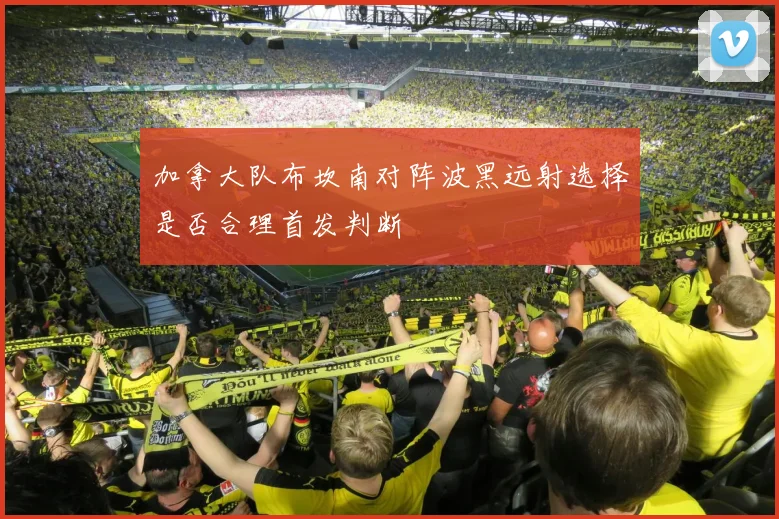 加拿大队布坎南对阵波黑远射选择是否合理首发判断