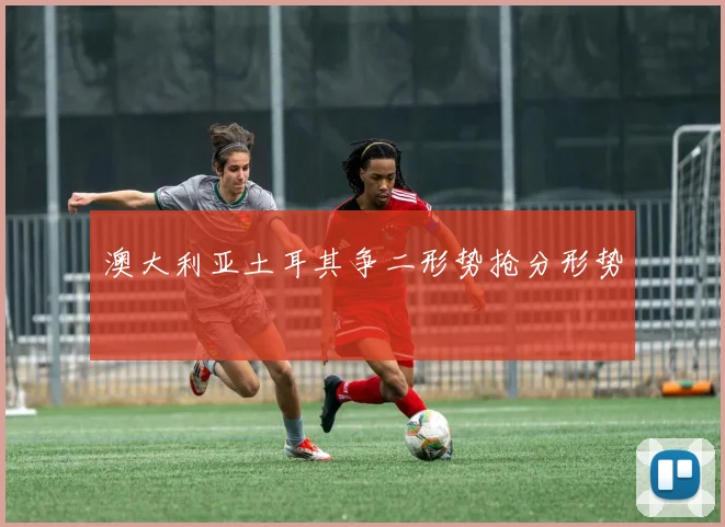澳大利亚土耳其争二形势抢分形势