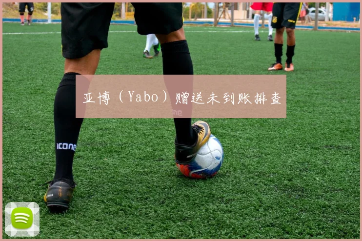 亚博（Yabo）赠送未到账排查