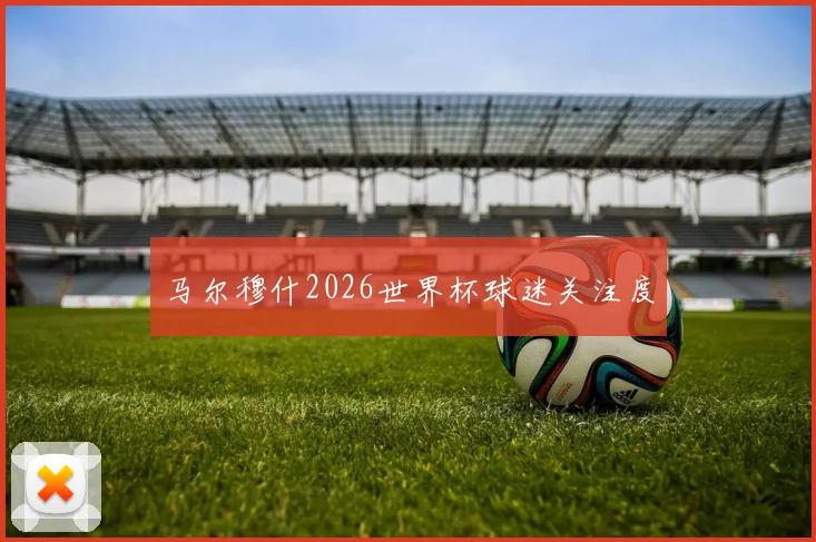 马尔穆什2026世界杯球迷关注度